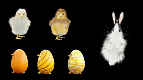 Easter, eggs, with Alpha matte. Video stock 279329860