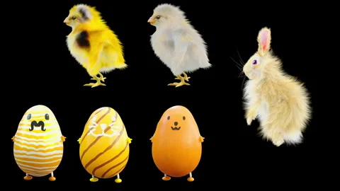 Easter, eggs, with Alpha matte. 库存影片 279330311