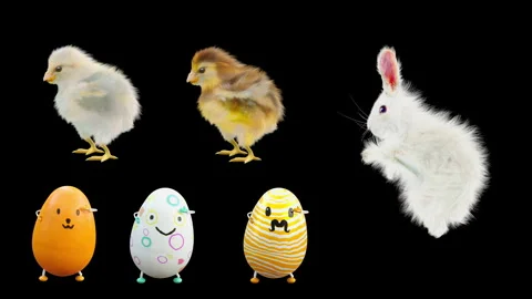 Easter, eggs, with Alpha matte. 스톡 동영상 279330409