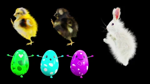 Easter, eggs, with Alpha matte. Stock Footage 279330453