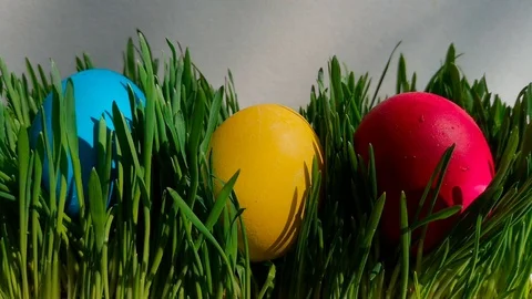 Easter eggs among green grass Stock Footage 105668244