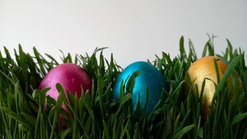 Easter eggs among green grass, white background Stock Footage 105926206