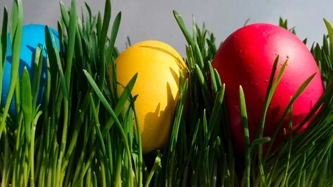 Easter eggs among young fresh grass Stock Footage 105668250