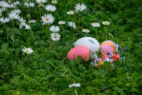 Easter eggs and candy on green grass with daisies Stock Photos