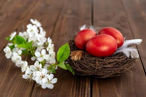 Easter eggs and cherry flowers on wooden background Foto stock