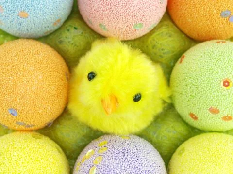 Easter eggs and a chicken in an eggs case Stock Photos