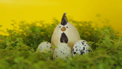 Easter eggs and chickens in the nest. Spring And Easter Background. Stock Footage 74107772