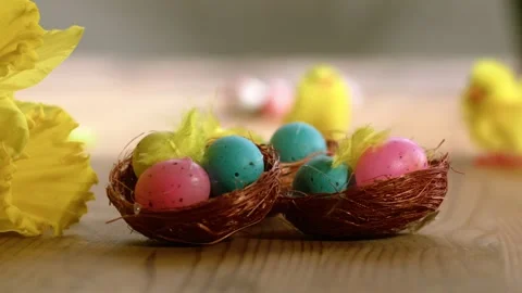 Easter eggs and daffodil flowers display Stock Footage 265168856