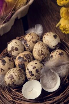 Easter eggs and daffodils Stock Photos