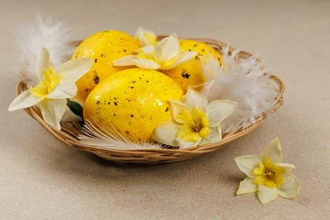 Easter eggs and daffodils in wicker basket with feathers closeup Stock Photos