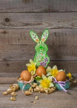 Easter eggs and the Easter bunny with flowers of narcissus Stock Photos
