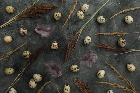 Easter eggs and feathers on dark background. Flat lay, Top view. Easter conce Stock-Fotos