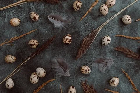 Easter eggs and feathers on dark background. Flat lay, Top view. Easter conce Stock Photos