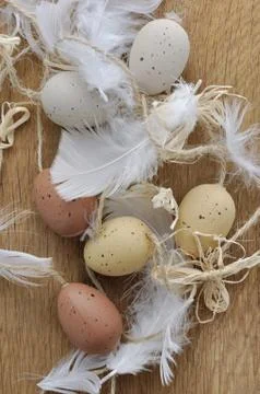 Easter eggs and feathers Stock Photos