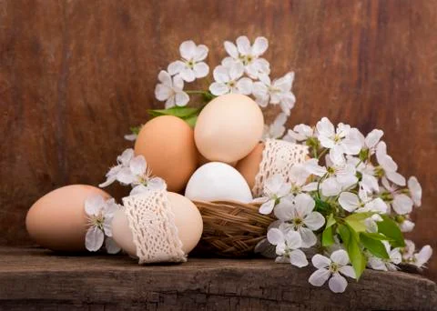Easter eggs and  flowers Stock Photos