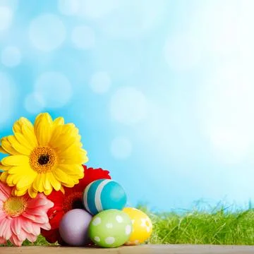 Easter eggs and flowers Stockfoto's