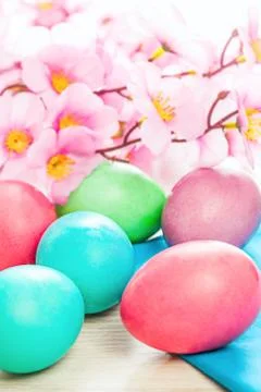Easter eggs and flowers spring background Stock Photos