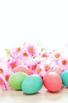 Easter eggs and flowers spring background Stock Photos
