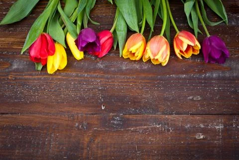 Easter eggs and fresh spring tulips on weathered wooden background Stock Photos