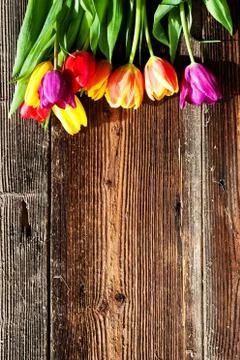Easter eggs and fresh spring tulips on weathered wooden background Stock Photos
