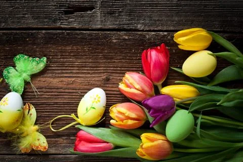 Easter eggs and fresh spring tulips on weathered wooden background Stock Photos
