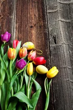 Easter eggs and fresh spring tulips on weathered wooden background Stock Photos