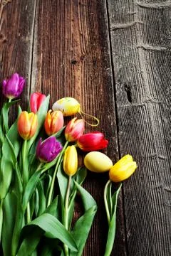 Easter eggs and fresh spring tulips on weathered wooden background Stock Photos