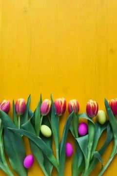 Easter eggs and fresh spring tulips on a yellow wooden background Stock Photos
