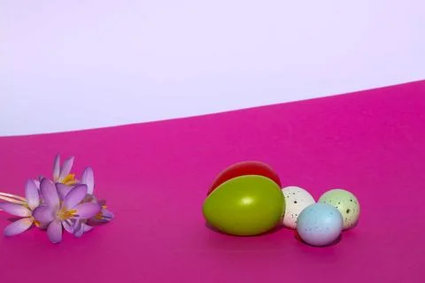 Easter Eggs and Pink Crocus Flowers on Bright Pink Background Stock Photos