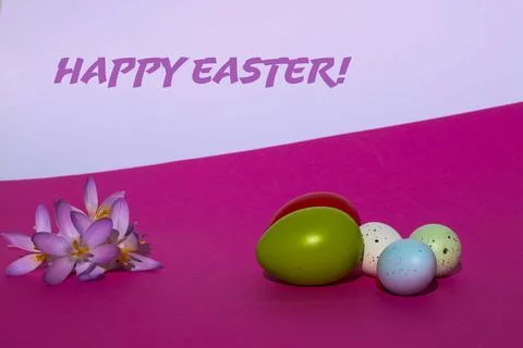 Easter Eggs and Pink Crocus Flowers on Bright Pink Background Stock Photos