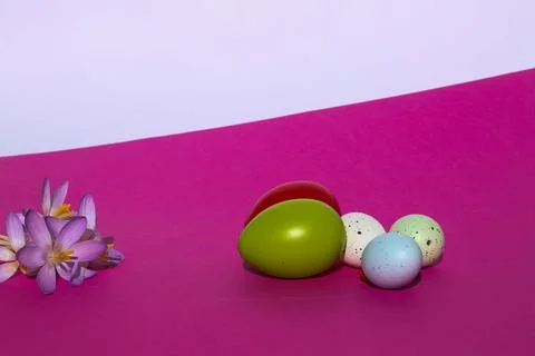 Easter Eggs and Pink Crocus Flowers on Bright Pink Background Stock Photos
