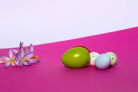 Easter Eggs and Pink Crocus Flowers on Bright Pink Background Stock Photos