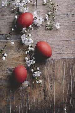 Easter Eggs and spring blossom Stock-Fotos