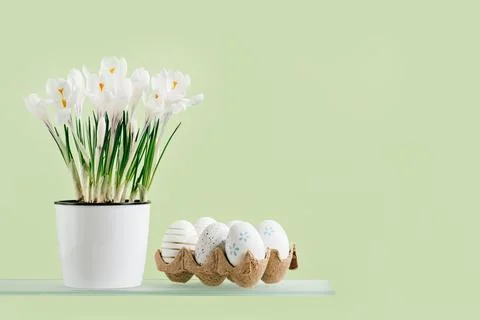 Easter eggs and spring flower pot on tender green Stock Photos