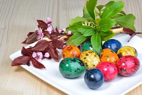 Easter eggs and spring flowers Stock Photos