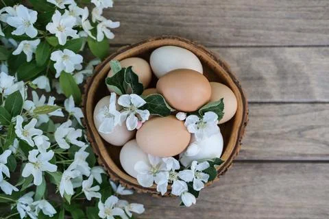 Easter eggs and spring flowers in wooden bowl. Easter eggs in natural color.. Stock Photos