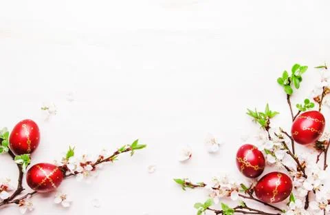 Easter eggs and spring white flowers on Easter white background with copy spa Stock Photos