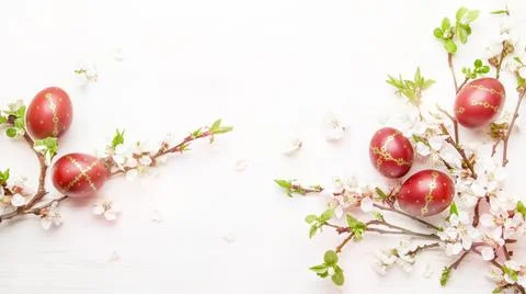 Easter eggs and spring white flowers on Easter white background with copy spa Stock Photos