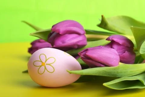 Easter eggs  and tulip Stock Photos