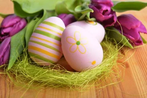 Easter eggs  and tulip Stock Photos