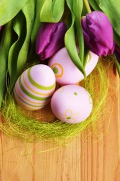 Easter eggs  and tulip Stock Photos