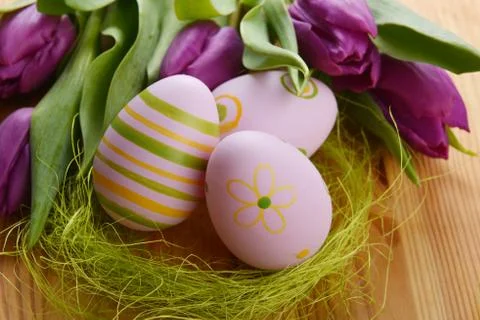 Easter eggs  and tulip Stock Photos