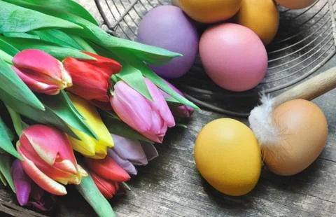 Easter eggs and tulips Stock Photos