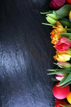 Easter eggs and tulips on rustic table Stock Photos