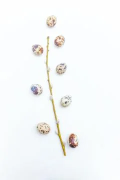 Easter eggs and willow branch on rustic white wooden background Stock Photos