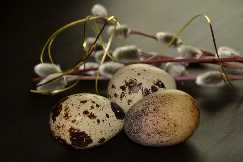Easter eggs and willow branches with golden ribbon on dark background Foto stock