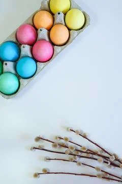 Easter eggs and willow branches on a white background Foto stock
