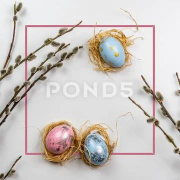 Easter eggs and willow twigs on white table framed with pink line and empty s Stock Photos