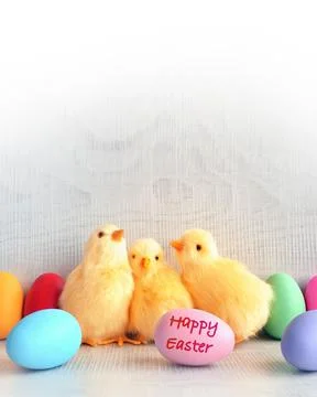Easter eggs and yellow chicks on a grey background. The minimal concept. Foto stock