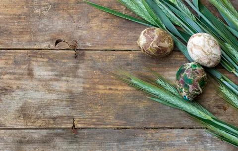 Easter eggs and young wheat Stock Photos